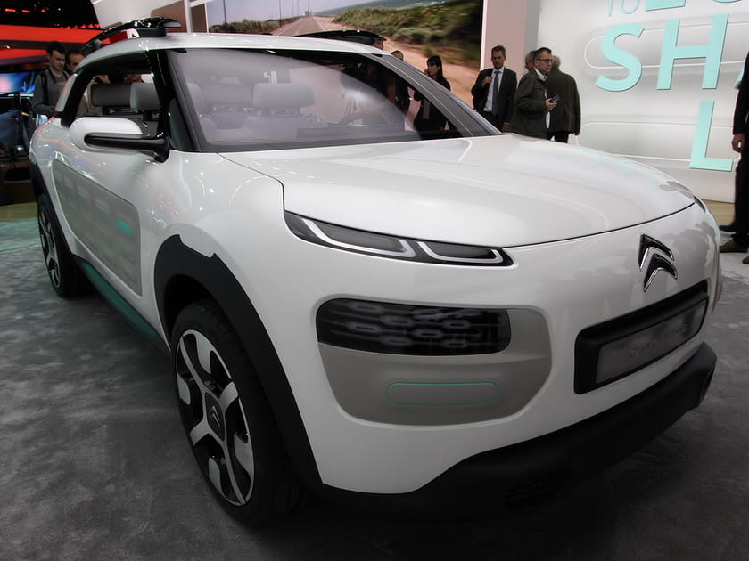Citro&euml;n C-Cactus Concept