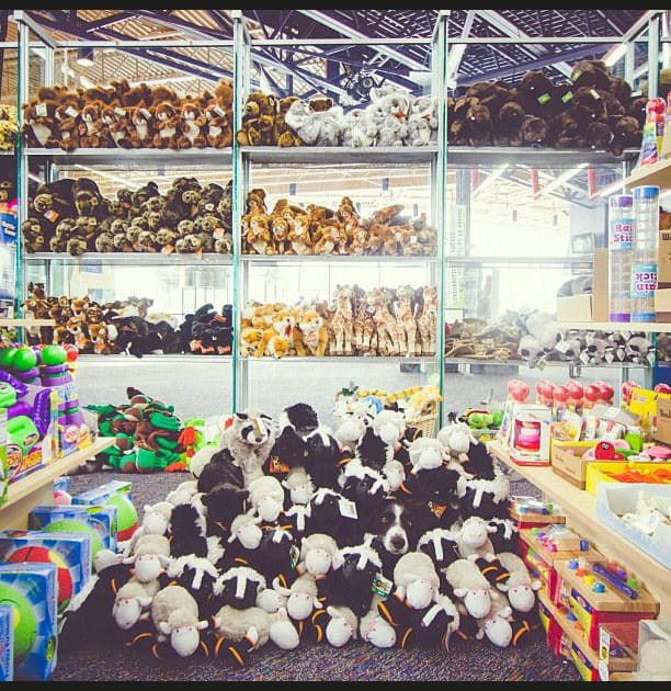 Dans un magasin de jouets
