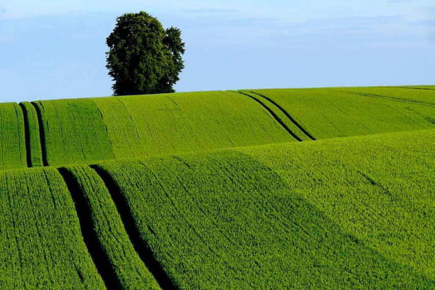 Paysage champêtre à Plomion