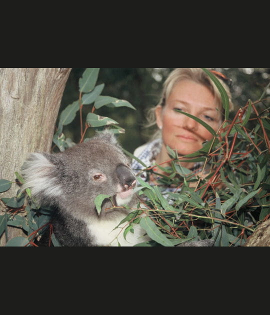 La femme et le koala