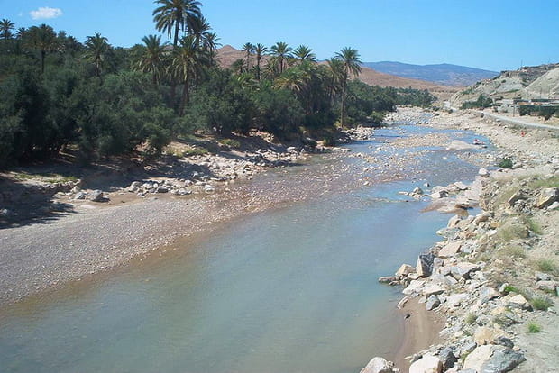 L'oasis d'El Oualdja