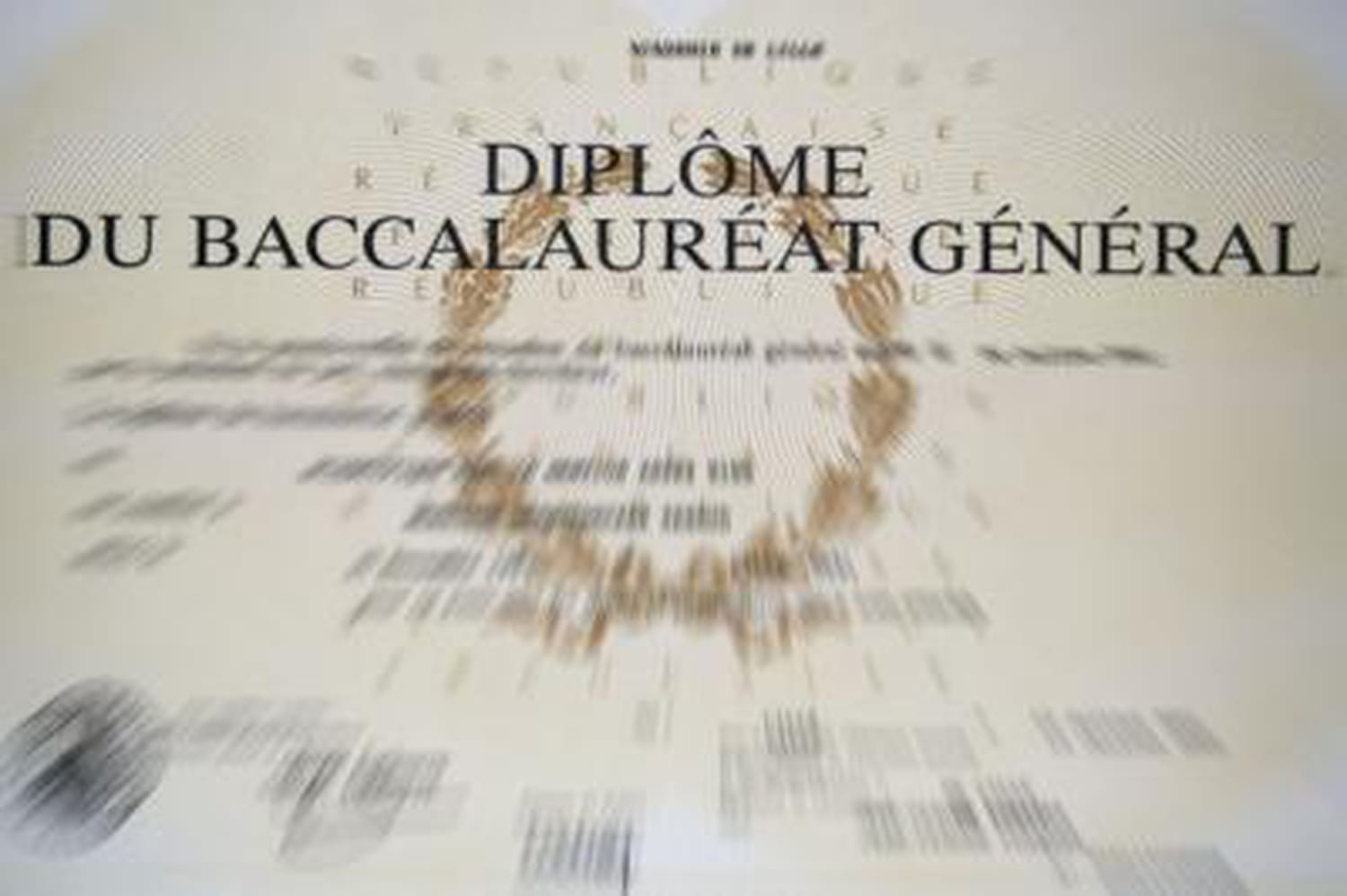 Bac 2013 : record à battre, 20,4/20 de moyenne