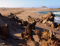 Merveilles d'Afrique : Le désert du Namib