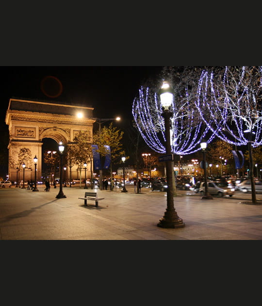 Les Champs-Elys&eacute;es