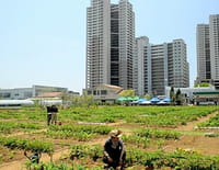 Naturopolis : Tokyo, de la mégapole à la ville-jardin