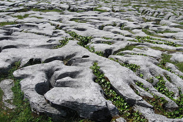 Les arabesques du pays pierreux