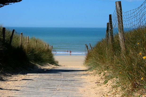 Ré, côté plage