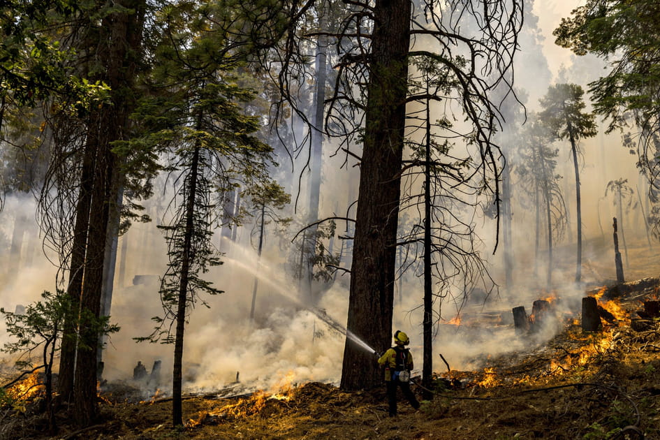 Incendies en Californie
