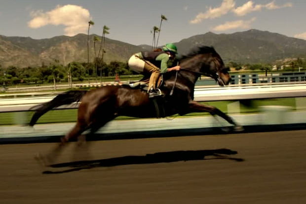 Des chevaux ! (Luck)