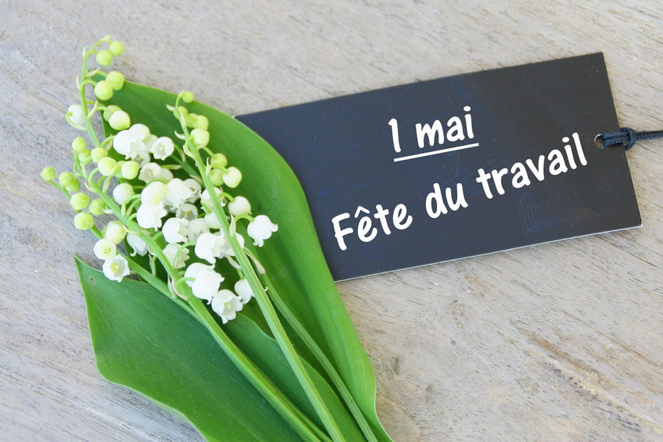 Les plus belles photos de muguet &agrave; envoyer &agrave; vos proches pour le 1er mai