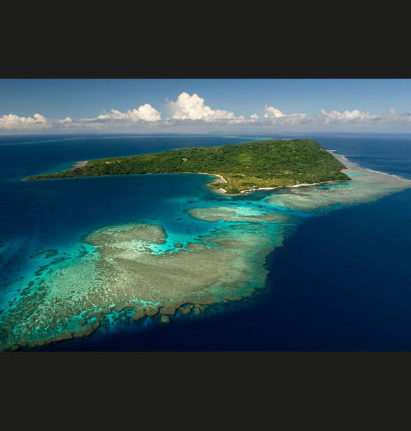 Rai Ki Wai, v&eacute;g&eacute;tale et animale&nbsp;: 5,6&nbsp;millions d'euros