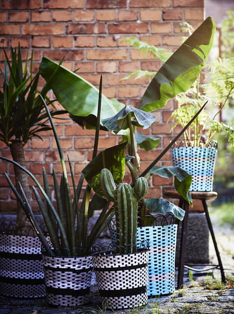 Des pots de fleurs twist&eacute;s