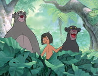 Le livre de la jungle