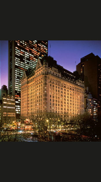 The Plaza &agrave; New York