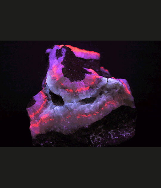 Habits de lumi&egrave;re