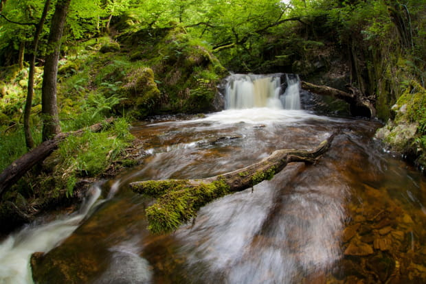 Les gorges de la Canche pour une promenade