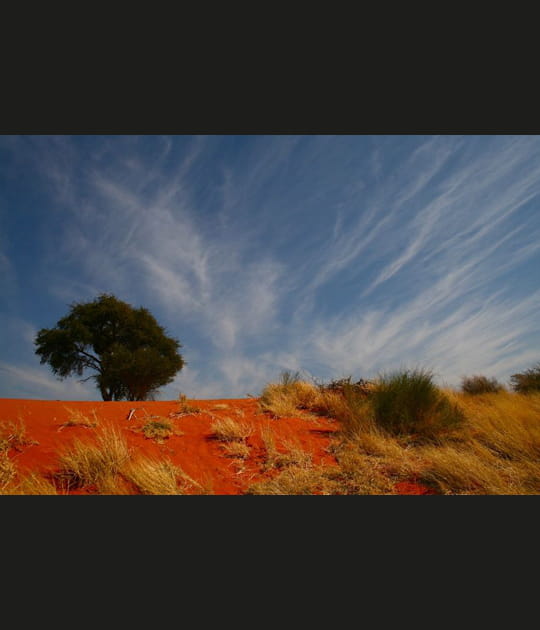 Accord entre savane et nuages