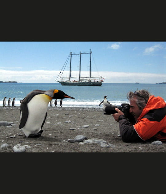 Une curiosit&eacute; partag&eacute;e