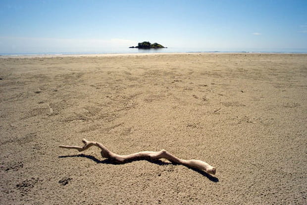 "Exactement comme il faut"