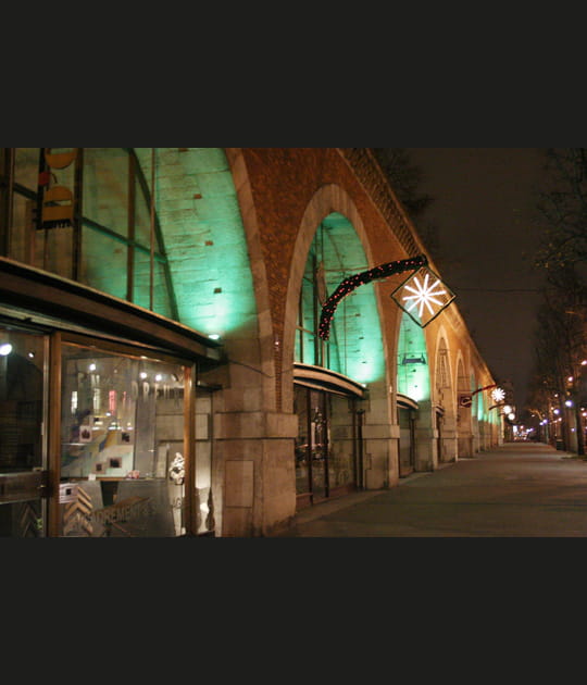 Les arcades &eacute;toil&eacute;es du viaduc des Arts
