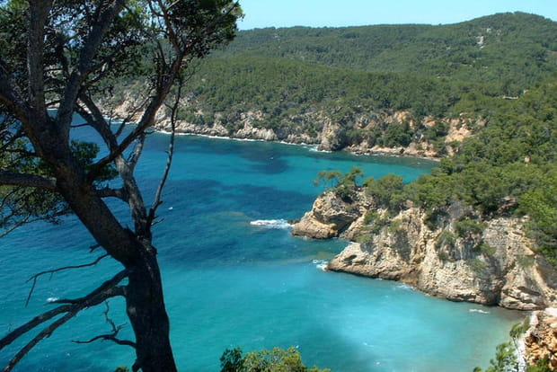 Bandol et ses criques