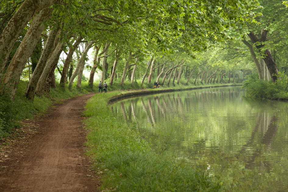 Le canal du Midi