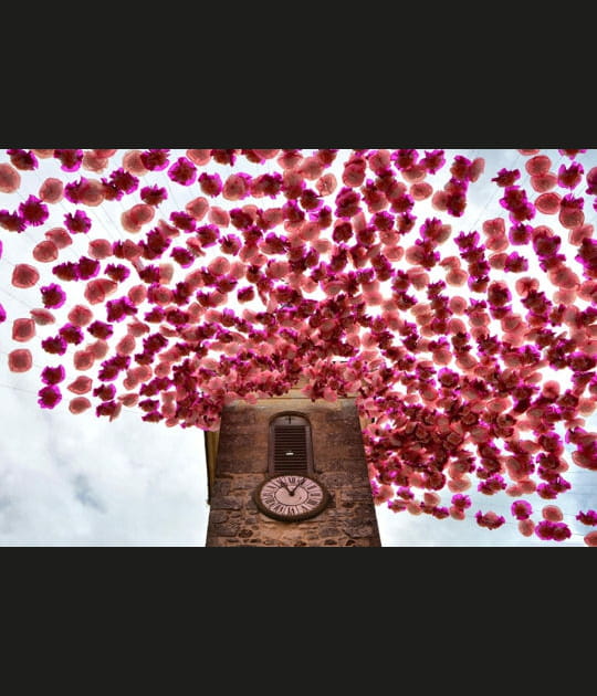 L'image de septembre 2012