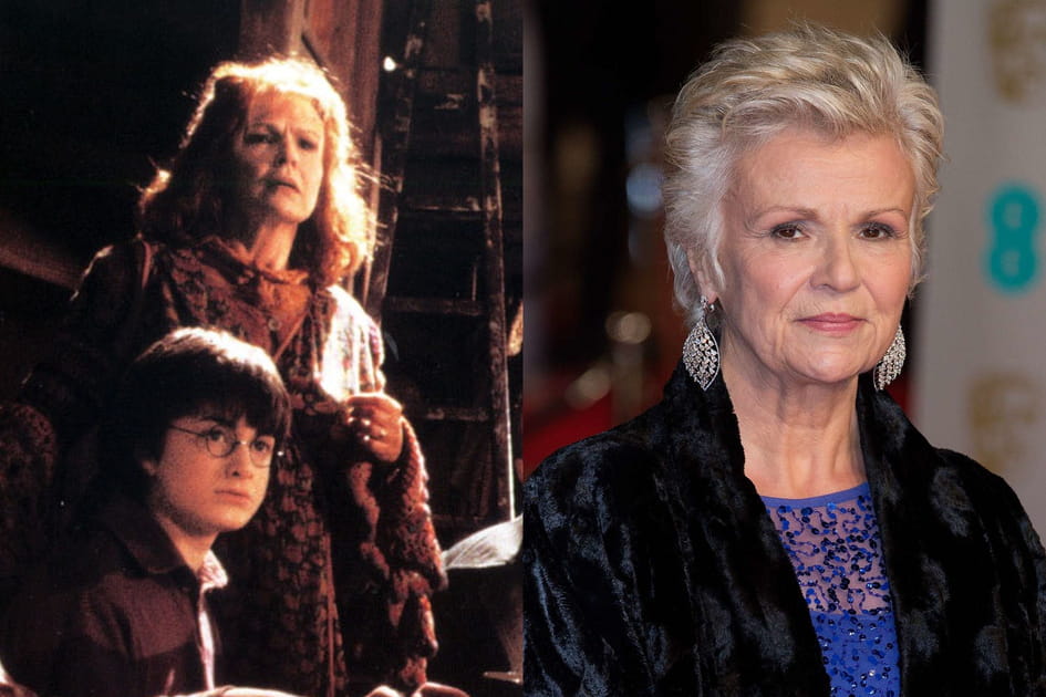 Julie Walters s'oriente vers les films familiaux