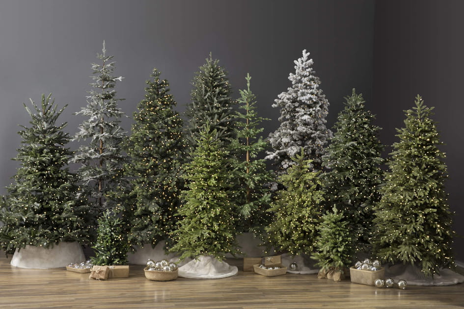 Un sapin &eacute;pur&eacute;