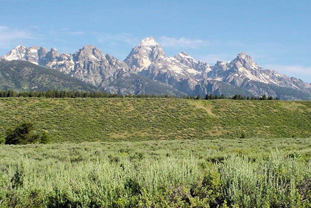 Grand Teton National Park