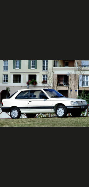 Num&eacute;ro 24&nbsp;: Peugeot 309