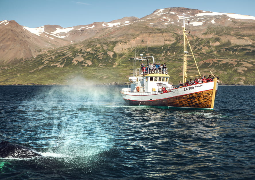 Islande, l'&icirc;le de feu et de glace en 20&nbsp;images&nbsp;: H&uacute;sav&iacute;k