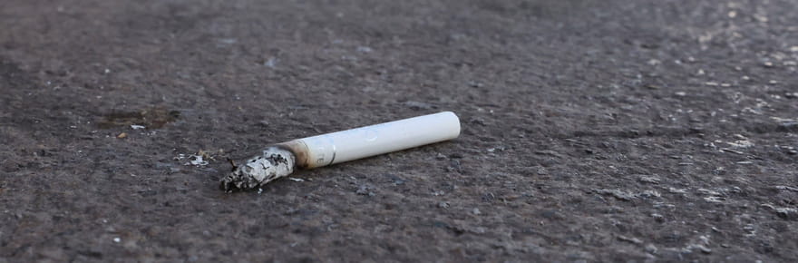 Combien de temps met un m&eacute;got &agrave; se dissoudre dans la nature&nbsp;?