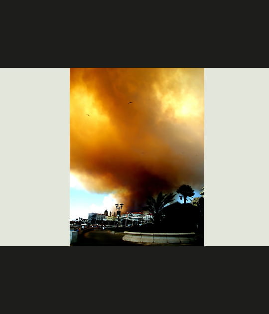 Incendie dans le Var