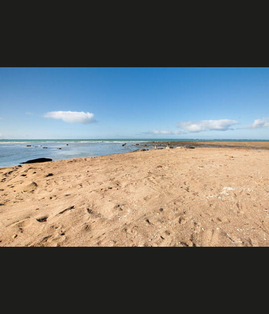 Baie Valdez en Argentine