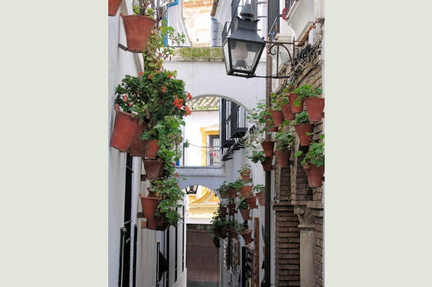 Les ruelles fleuries