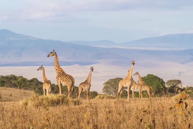 L'aire de conservation du Ngorongoro en Tanzanie