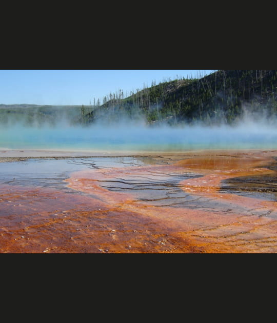 Yellowstone