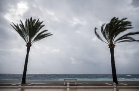 Temp&ecirc;te Claudia&nbsp;: 21&nbsp;d&eacute;partements plac&eacute;s en vigilance pour vents violents, un &eacute;pisode durable annonc&eacute;