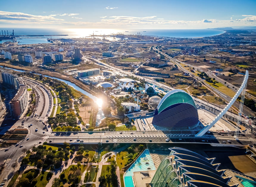 Cit&eacute; des arts et des sciences