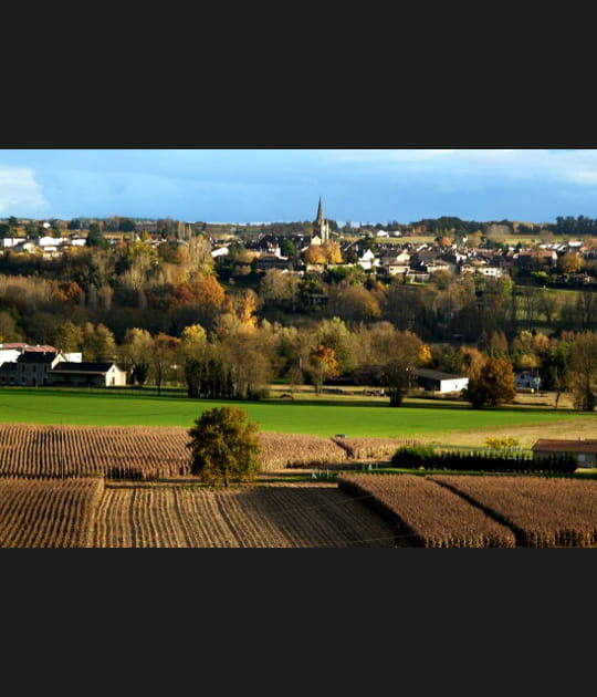 Paysage d'automne