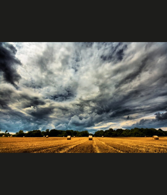Les moissons du ciel