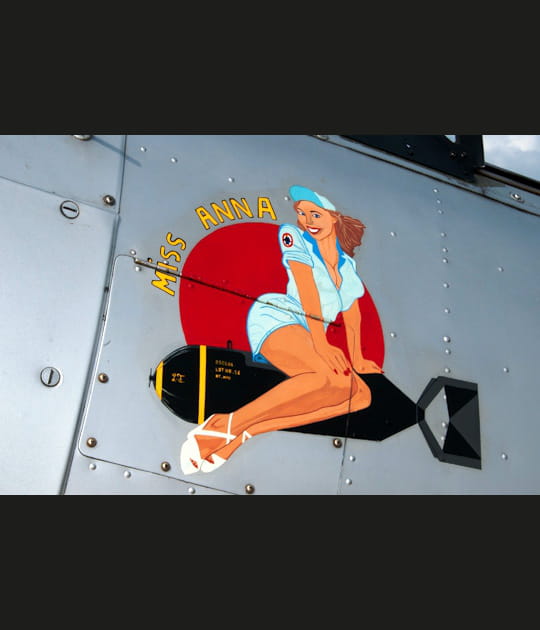 Une passag&egrave;re de choc