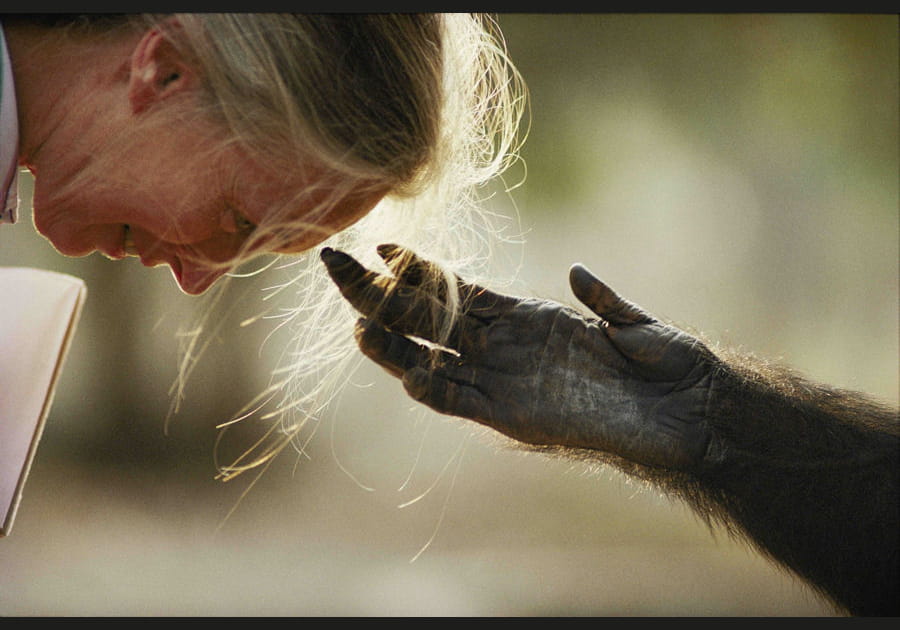 Moment de tendresse