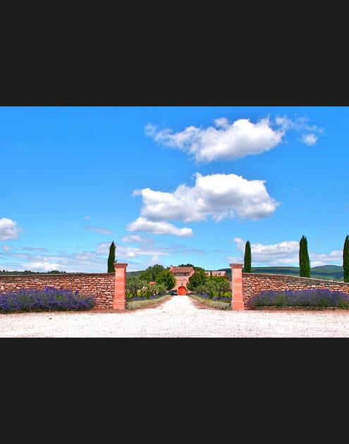 Chemin bord&eacute; de lavande