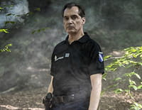 La forêt