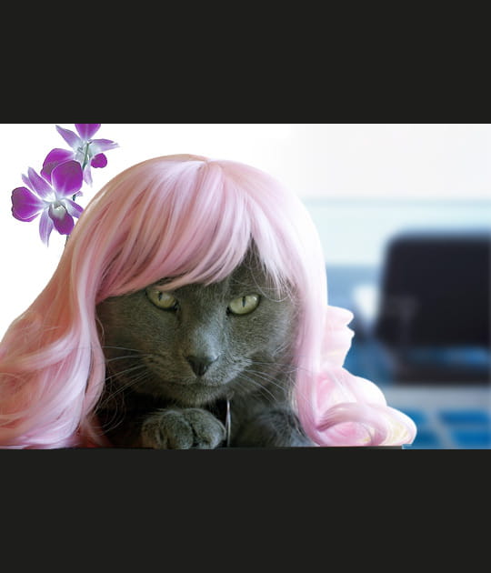 Pink lady