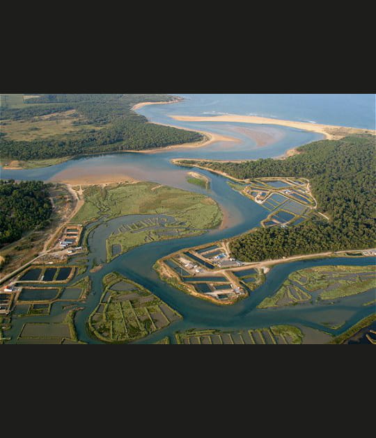 L'Amazonie en Vend&eacute;e