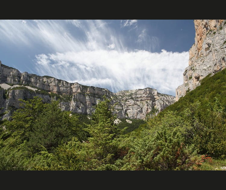 La Dr&ocirc;me
