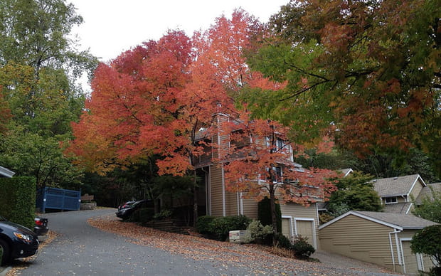 Et soudain, les paysages changent...